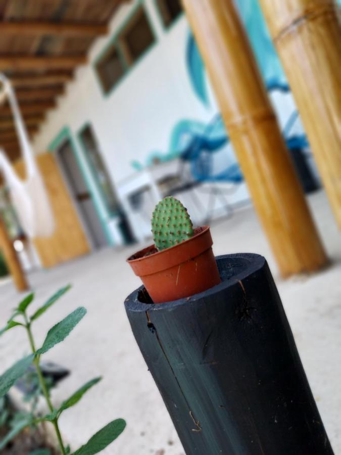 Flor De Bambu Apartment Uvita Luaran gambar